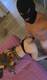 Private Photo of babyteen18