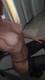 Private Photo of DamaRossa77